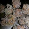 Buy Granddaddy Purple Online