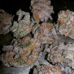 Buy Granddaddy Purple Online