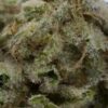 AK Banana strain