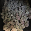 Buy Blueberry kush Online