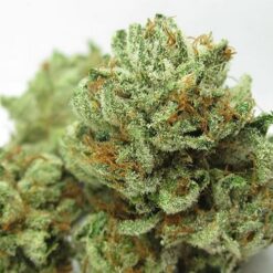 Buy master kush Online