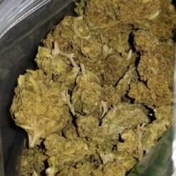 Buy Critical Kush Online