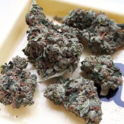 Buy Holy Grail Kush Online