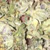 Buy Cali Kush Online