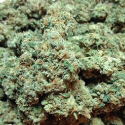 Buy Kerala Kush Online