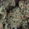 Buy Chocolope marijuana Strain: A Collection Of Hazes Online