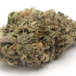 Buy Gelato Kush Online