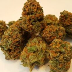 Buy Jedi Kush (Cali Connection) Online