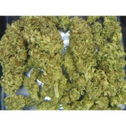 Buy Kosher Kush (Reserva Privada) Online