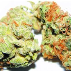 Buy Lemon Sour Diesel