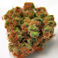 Buy Panama Red medicinal marijuana Online