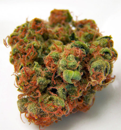 Buy Panama Red medicinal marijuana Online
