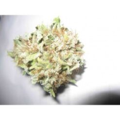 Buy Sleestack Kush Online